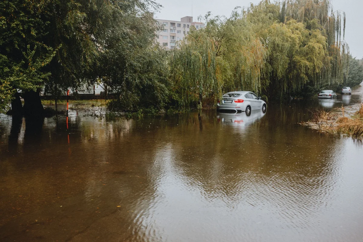 Urban basement flood risk and stormwater runoff in Chicago residential neighborhood
