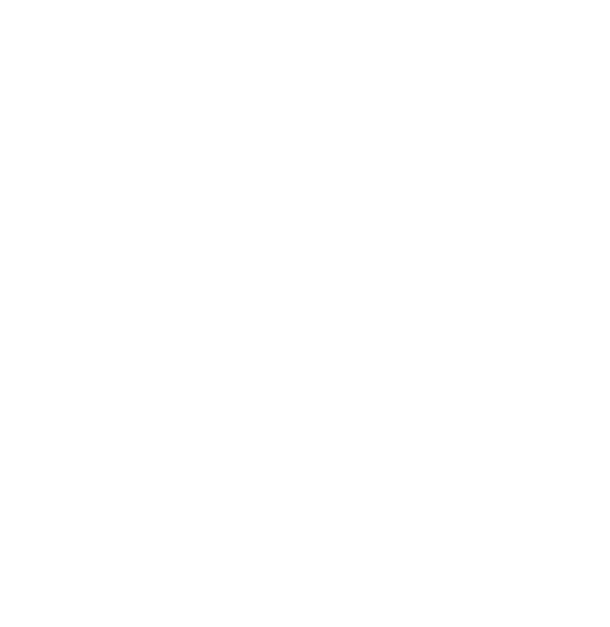 Chicago Water Emergency Logo